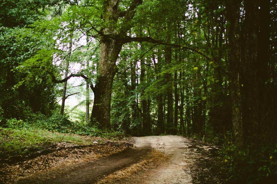 The childhood colony — where everything began, and where the heart always wants to return