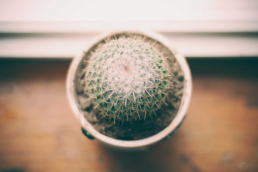 The power of compounding — the earlier you start, the more you gain