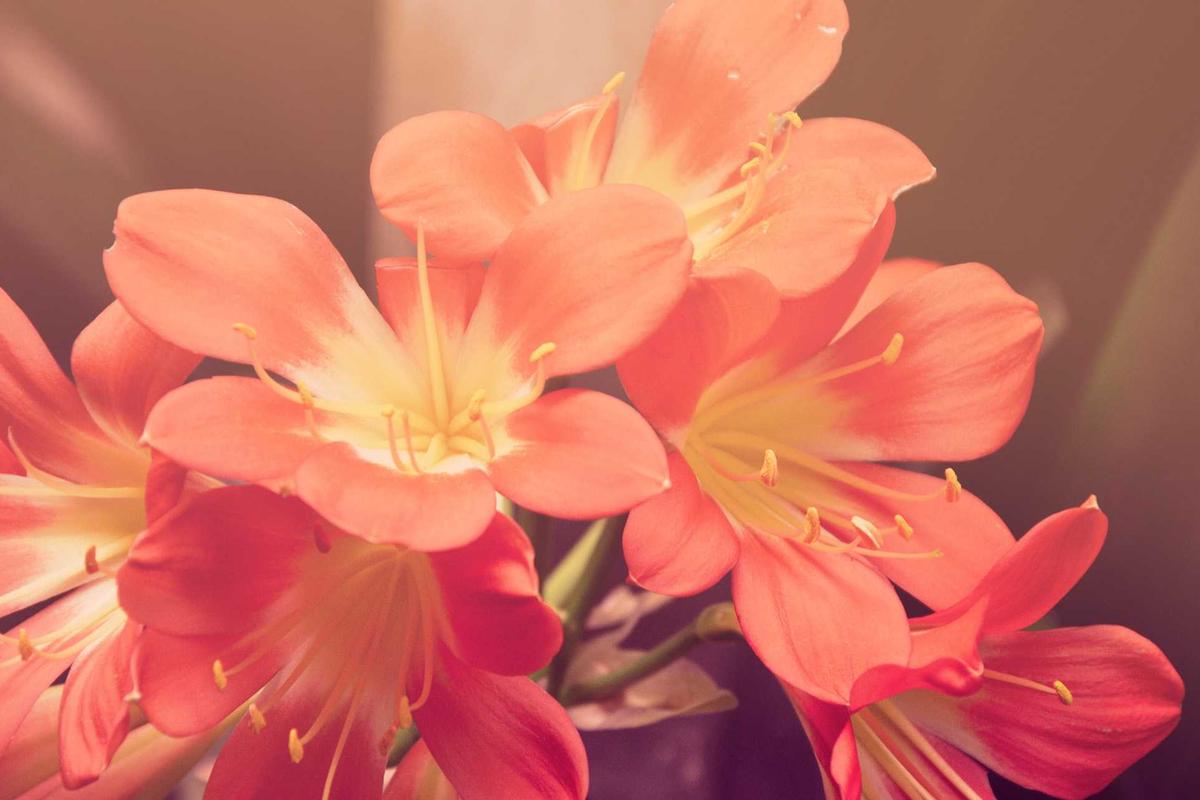 Breaking Up With a Toxic Friend — Harder Than a Romantic Breakup, Just as Necessary